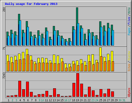 Daily usage for February 2013