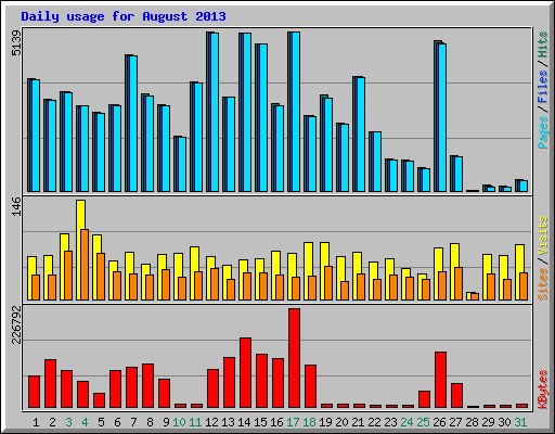 Daily usage for August 2013