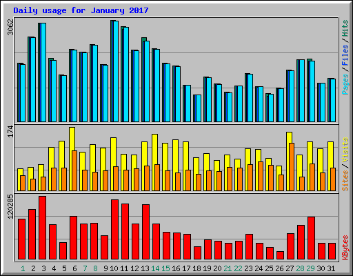 Daily usage for January 2017