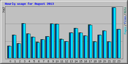 Hourly usage for August 2013