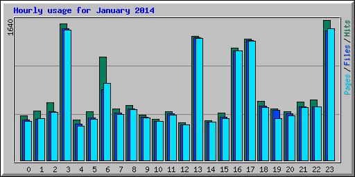Hourly usage for January 2014