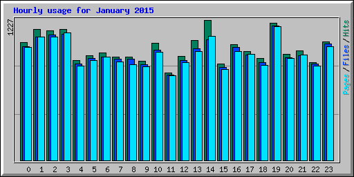 Hourly usage for January 2015