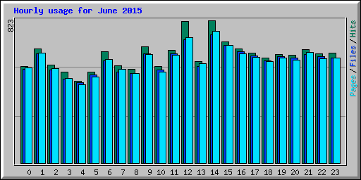Hourly usage for June 2015