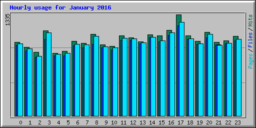 Hourly usage for January 2016