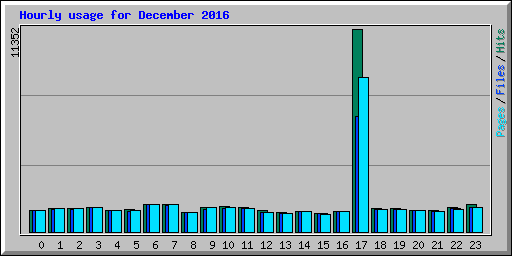Hourly usage for December 2016