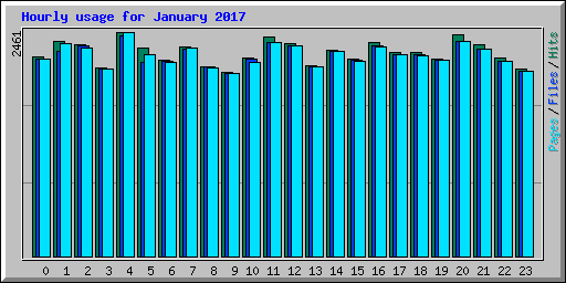 Hourly usage for January 2017